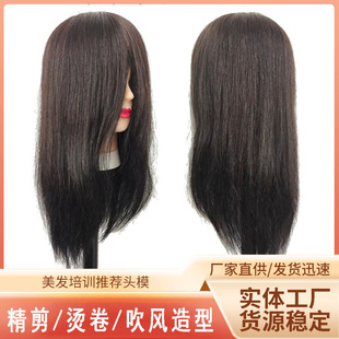 Real hair head model hairdressing exercise head model model doll dummy head can be ironed and cut roll bar modeling factory direct sales