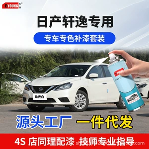 Sylphy Rəng Qələmi Mirvari Ağ Avtomobil Boya Cızıq Təmiri