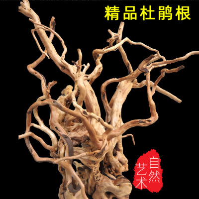 产地批发水族箱造景装饰天然杜鹃根沉木造景木栖根水景草缸莫斯树