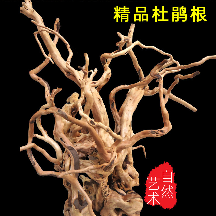 Wholesale from the Place of Origin: Aquarium Landscaping Decoration, Rhododendron Roots, Driftwood, Aquatic Plants, Moss Trees, Driftwood for Fish Tanks