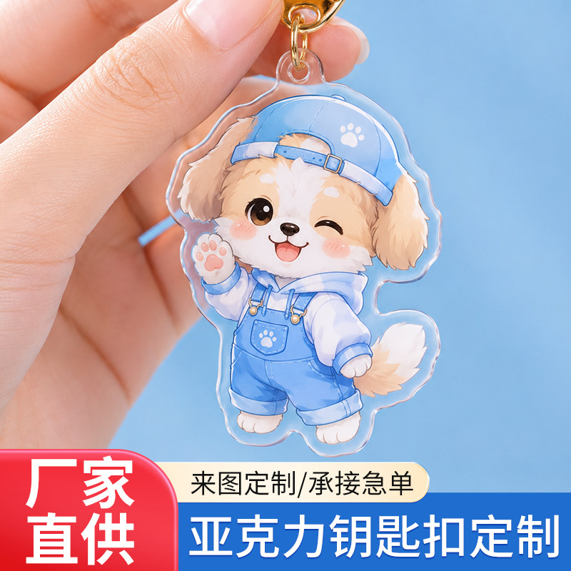 Creative Acrylic Keychain, Double-Sided Photo Celebrity Merchandise Keychain Pendant, Cartoon Anime Keychain