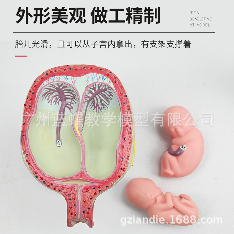 ������̥�γ�̥�����﷢�����̸������ӹ����ʸ��׼���չ��ѧģ��