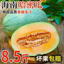 ���Ϲ��ܹ����������rˮ������ֱ�l�F؛�������l��������֭����