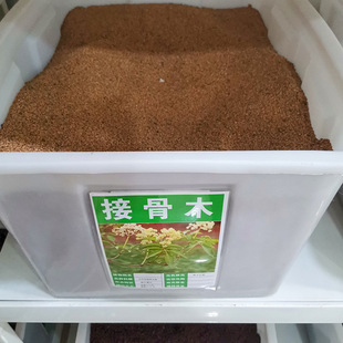 ��ș�ķN�ӽӹ�ľ�N��������ӹǵ���h�l�ӹ��L�m�ǘ�N�ӾG�h