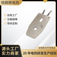 厂家直销电熨斗发热片 蒸汽熨斗云母加热体电热片配件可定制加工