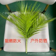 ������ȼɢβ�������Gֲ�쾰�����F���~�ؙ��~���⿹UV�������⾀