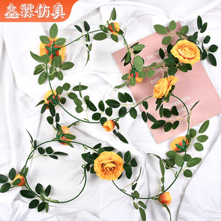 ����õ�崺��12�仨�ٗl ��c�Ҿ��b�����ٻ��b���õ���ٗl