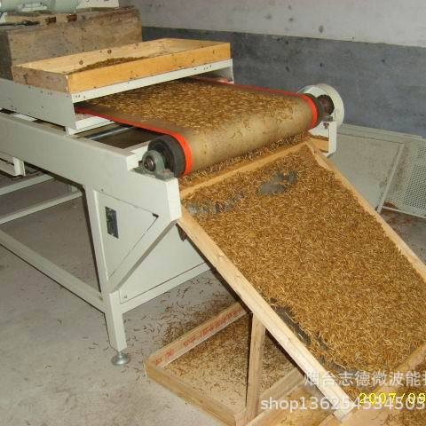 厂家直销黄粉虫黑水虻微波干燥设备黄粉虫黑水虻微波烘干设备