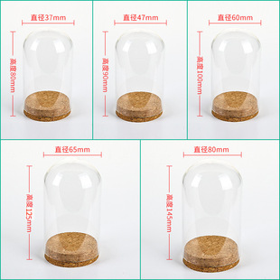 Eternal Flower Glass Cover Simple Modern Home Decorations Glass Dust Cover Base with Lamp Living Room Desktop Ornaments