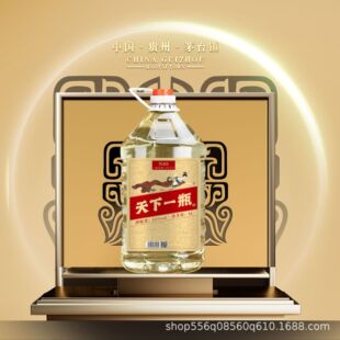 ��N80�ϾƼ��Zʳ��53���u���Ͱ׾�ɢ�b�߶�5L�ݾ��þ��ݾƌ���