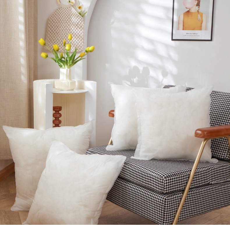 Pillow Insert Image 4