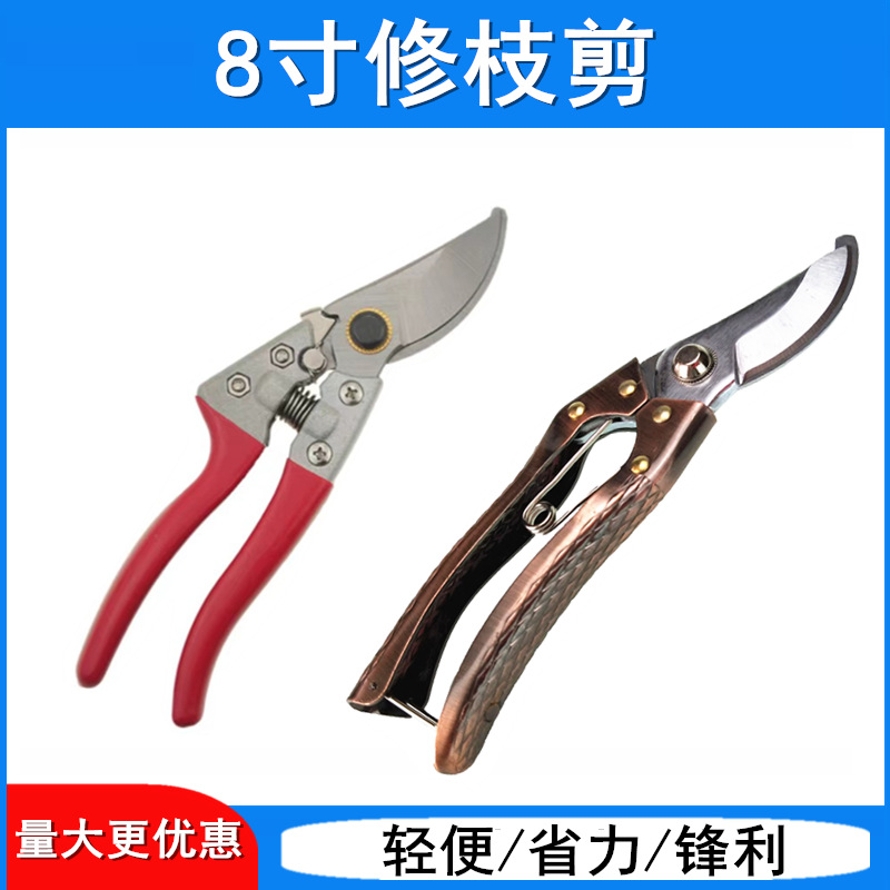 园艺剪刀 弯嘴修枝剪 园林剪 8寸金属柄钴铜色枝剪 红柄花枝剪