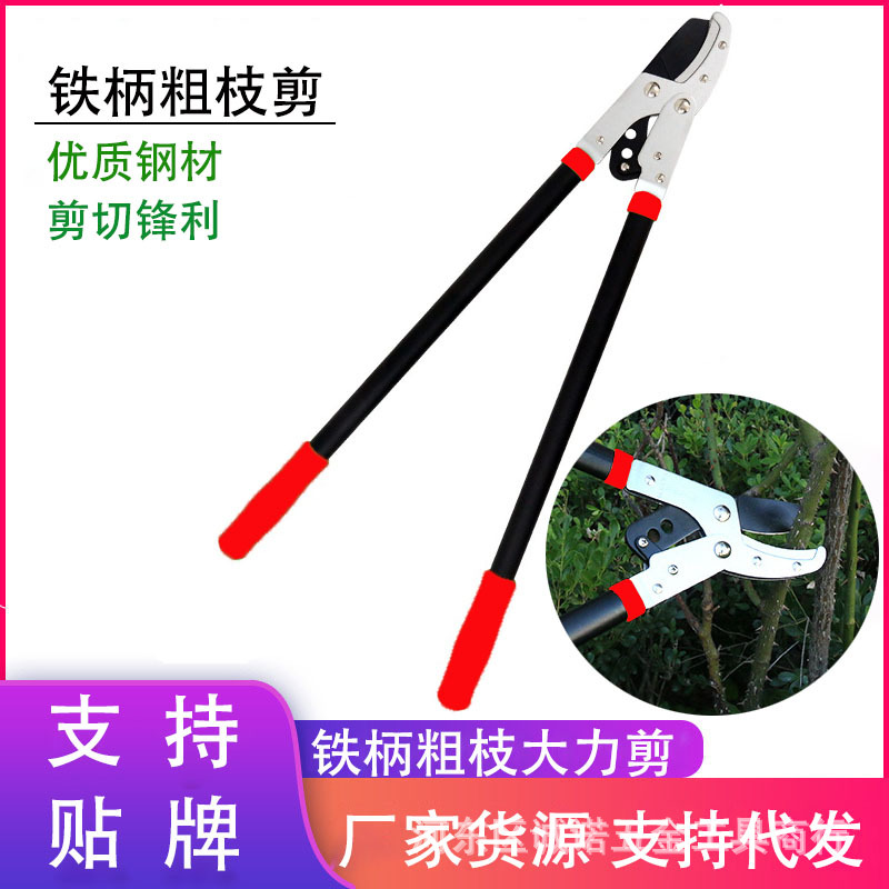 修枝剪园艺剪刀粗枝剪树枝果树剪刀大力省力园林强力剪厂家高枝剪