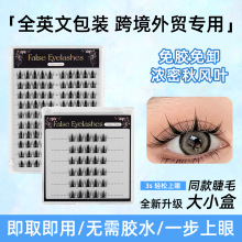 ��ѡ*�羳�⽺�ٽ�ë�ֶδ�������Ȼ�˳�����̫������ϵ�ٽ�ë��