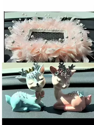 Car ornaments | Decoration, Internet Celebrity Accessories for - two-large-pearl-rectangular-feather-cushions