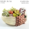 Special Nut Rabbit Basin—K42