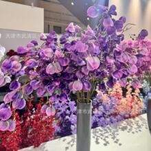����3����\�����˹��ٻ� ��c��Y���b��ĵ���b�ܛ�b���滨