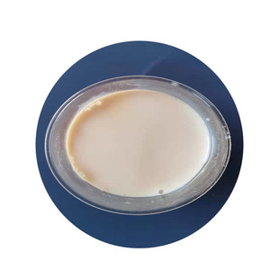 PVDC 602 U. S. Solvay polyvinylidene chloride copolymer aqueous dispersion water vapor barrier property