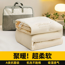 2025秋冬绣花牛奶绒大豆被保暖被子加厚宝宝绒被芯冬被春秋被礼品