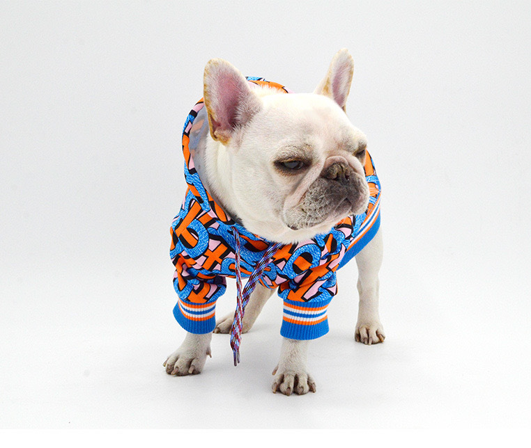 Stylish Pet Outfit