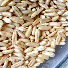 ���l����������s�Z���_˹���޴ּZ�򶹝{����������ԭ��ֱ�N