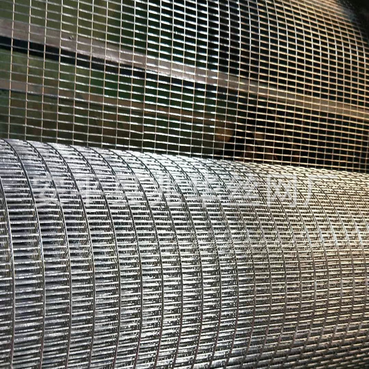 出口抹墙网镀锌 PVC电焊网 养殖防护烟道网假山钢铁丝网烟道网