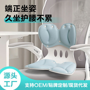 Waist-Protecting Sitting Chair, Sedentary Artifact, Ergonomic Waist-Protecting Cushion, Integrated Office Waist-Protecting Cushion, Not Tired after Sitting for a Long Time