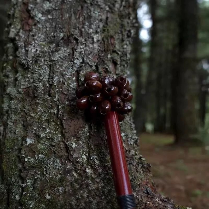 木製のハンドルが付いたガラガラ、アフリカの植物の実の串を鳴らすベル、ダンスの伴奏、民族コンサートの楽器、ダンスベル、パンジ|undefined