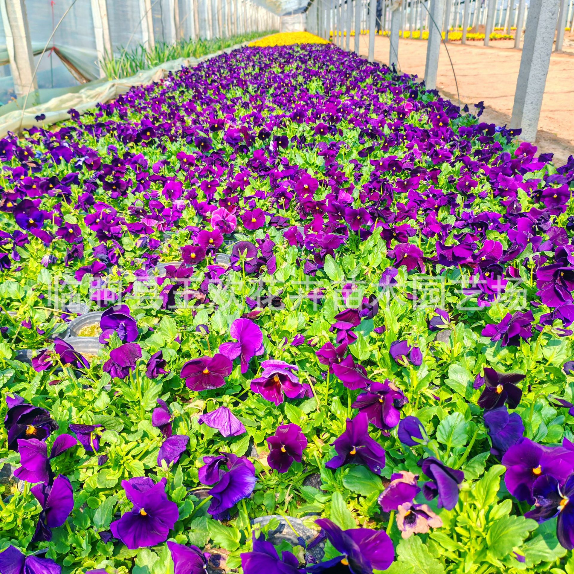 153697d6-5046-47fc-adb8-7d0599