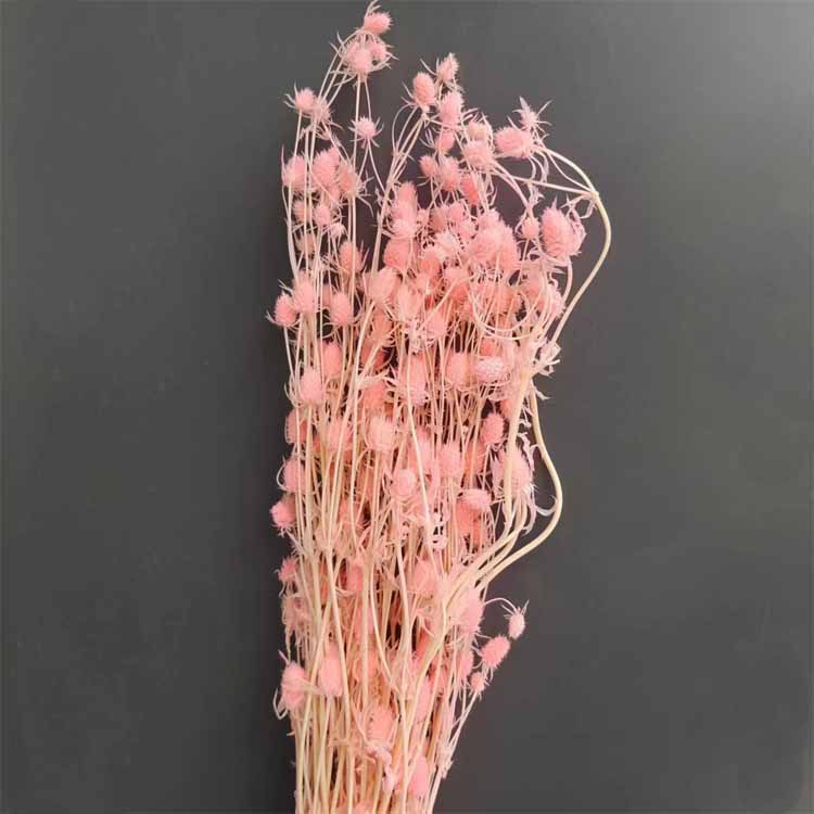 밝은 핑크 [약 100]