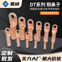 ����DT-10�~��������Դ�Ӿ����� �����~�������~�����]�ھ�����