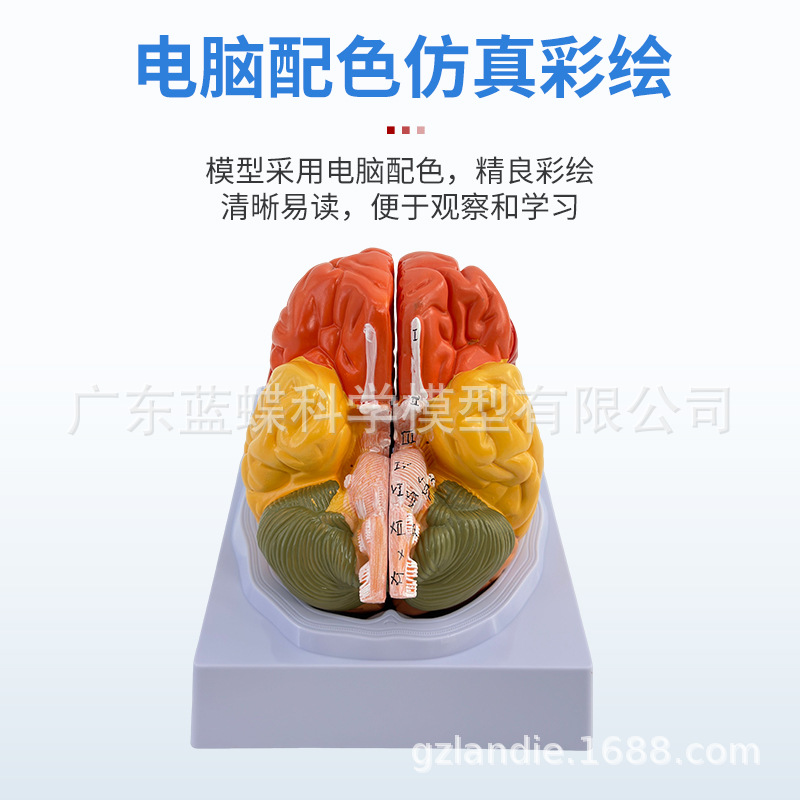 ��ģ�� �Թ�������ɫ��ģ�� ������Խ����Թ���ģ�� ��ɫ�� ���