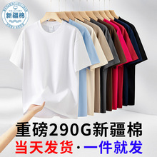 �ذ���ɫ��͸290g���ވA�I����T���񌍼��״����t��Ů���w������