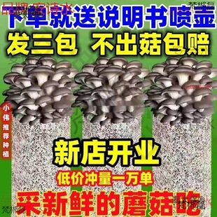 ƽ��������̫ͥ��ʳ�þ�ʳ�ð�һ�����Nֲ�Nֲ���r��Ģ�����N����