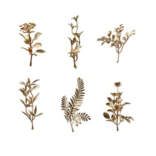 �����ɫˮ�� ���괺����Ͱ�廨���滨��� ��c�zӰ��廨����