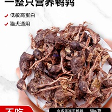 �g������؈��ʳ�ഺ�~����؈�a��I�Bĥ����؈����ʳ������؈�Z