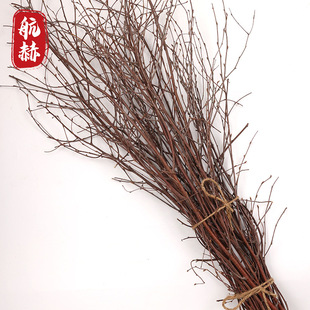Hand-selected birch branch handicraft raw material flower arrangement kindergarten handmade DIY birch branch Mori decorative material wholesale