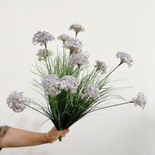 �����JȔ�����[�� 5�^��������[�� ��cܛ�b�ҾӾƵ��Ĕz�ٻ�