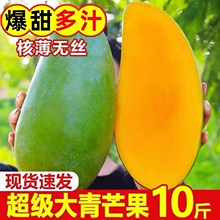 海南大青芒果特大果9斤应季新鲜水果青皮金煌甜心芒大果产地直发