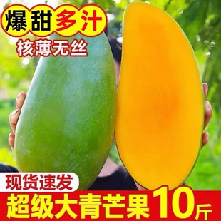 ���ϴ���â���ش��9������rˮ����Ƥ�������â����a��ֱ�l