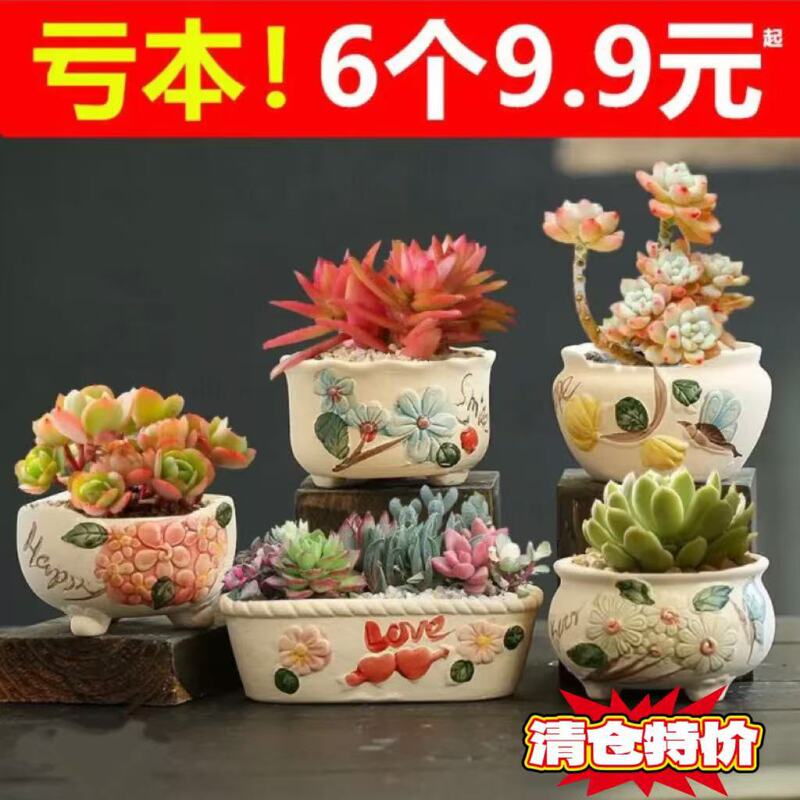 Succulent Flowerpot Ceramic Cartoon Cute Creative Large Diameter Household Small Stoneware Breathable Succulent Flowerpot Succulent Flowerpot Ceramic Cartoon Cute Creative Large Diameter Household Small Stoneware Breathable Succulent Flowerpot