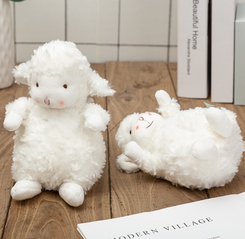 IMG_3881(20210810-185741)