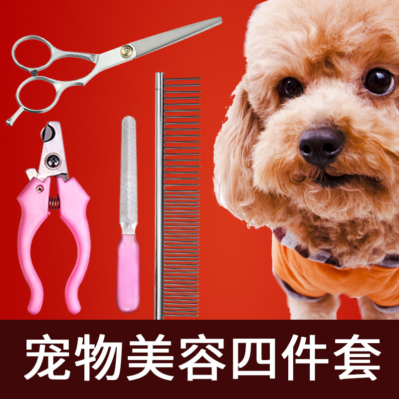 狗界“最听线种狗狗谁养谁顺哈希娱乐- 哈希游戏平台- 哈希游戏官方网站心！