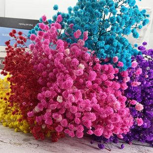 Cross-border Eternal Flower Gymnolus Dried Flower Wedding Mini Corsage Small Flower bouquet Gift Box Decorative Small Vase Wedding Flower bouquet