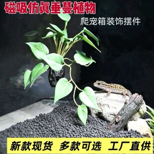 �¿�羳�������쾰�ٲݱ����N�����߷��洹��ֲ��[�����S