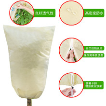ֲ������ַ����ֿ羳���u����ֲ��������ر�ů�o�������������