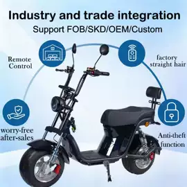 电动自行车;其他电动车;库存汽摩配件