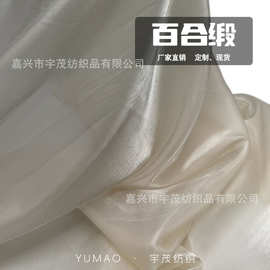 现货百合缎芙蓉缎面料小清风缎面闪光丝滑纱裙时装汉服欧根纱布料