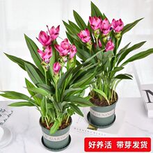 ���ɻ��N����������ͺ��������ͺ������҃�����ͥԺ�Nֲ�̨����