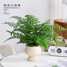 ķާާֲT҃kҕ߅GֲBļ